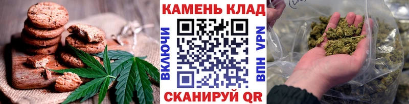 Купить закладки  Олонец  Canna-Cookies марихуана 