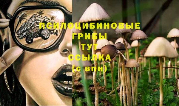 ECSTASY Бронницы
