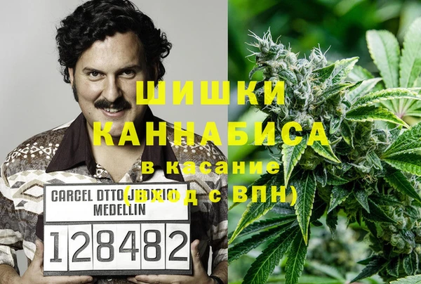 ECSTASY Бронницы