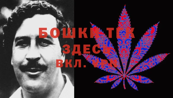 ECSTASY Бронницы
