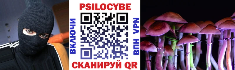 Псилоцибиновые грибы MAGIC MUSHROOMS  Купить закладки  Олонец 